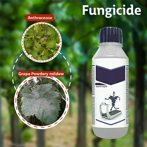 Premium Agricultural Fungicides