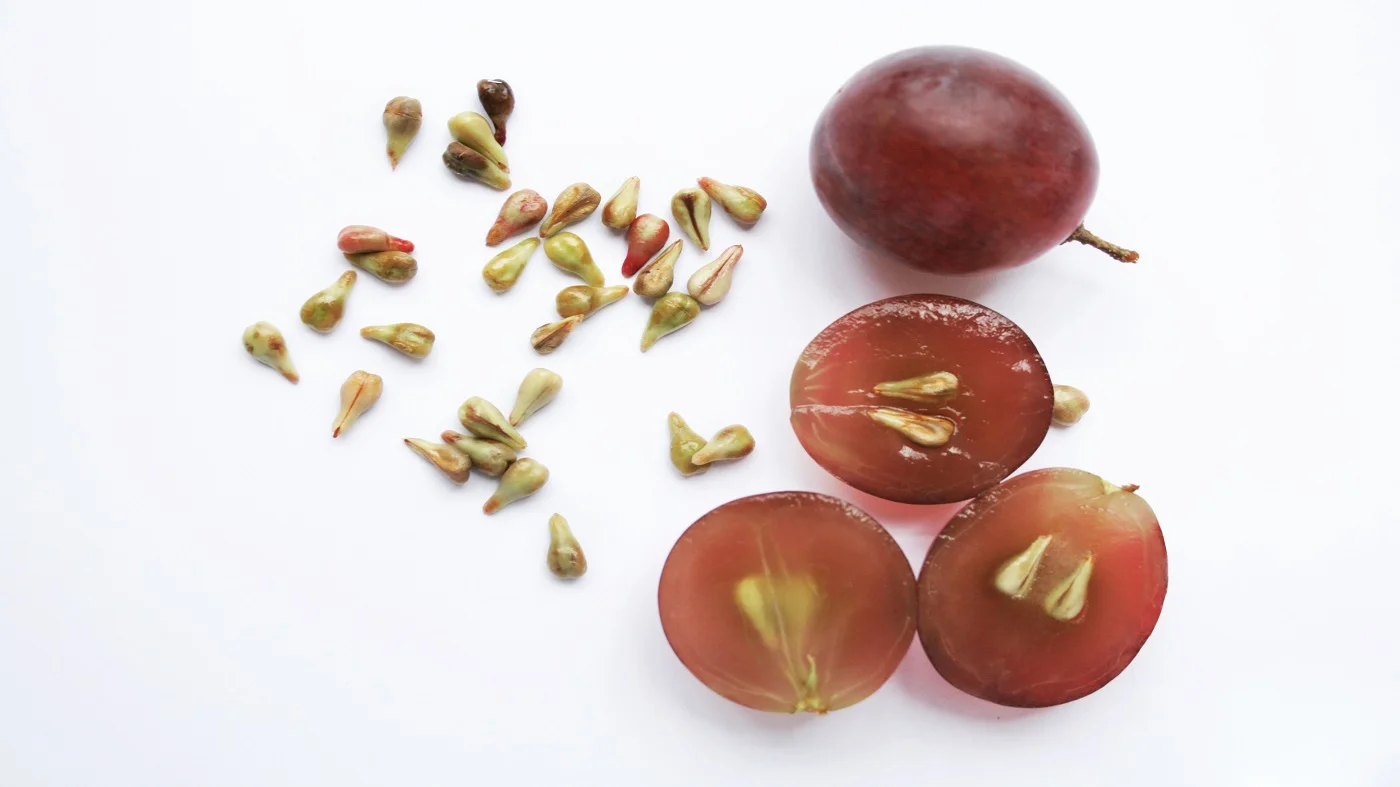Grape Seeds – Organic & Natural