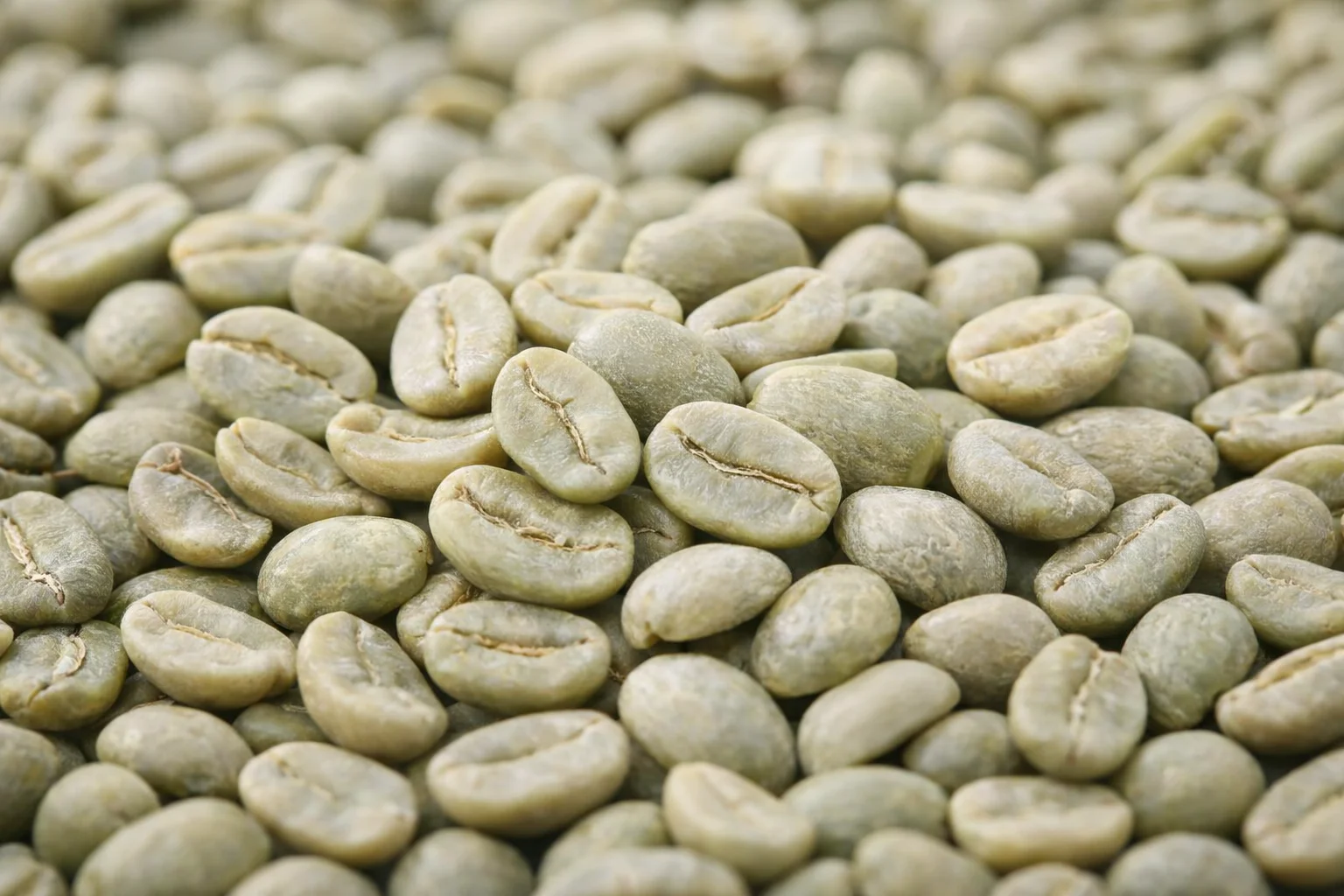 Green Coffee Beans