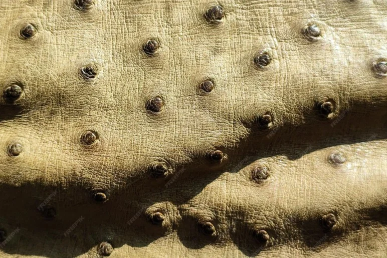 Ostrich Leather