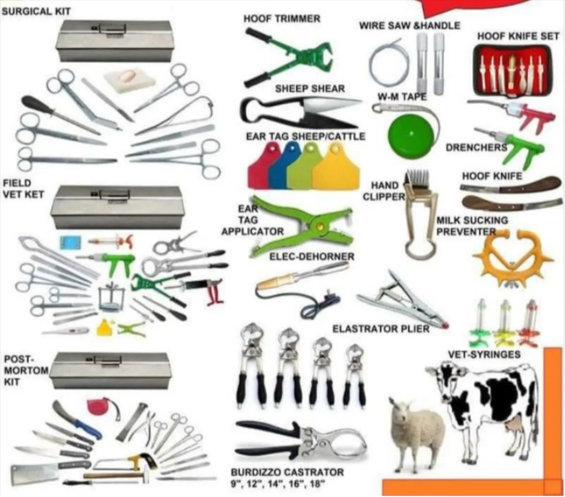 Animal Husbandry Equipment