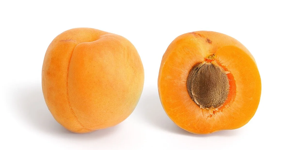 Fresh Apricot