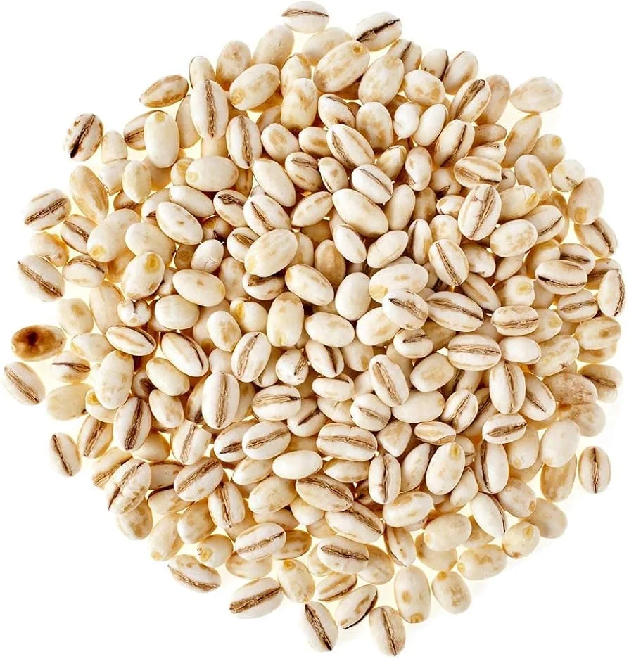 Barley Grain