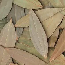 Bay Leaf