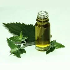 Catnip Oil