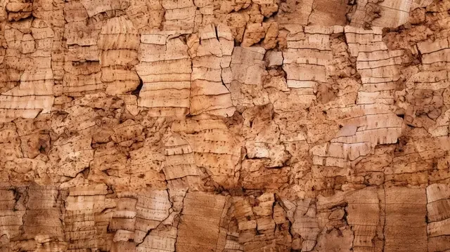 Cork Wood (Natural Cork Material)