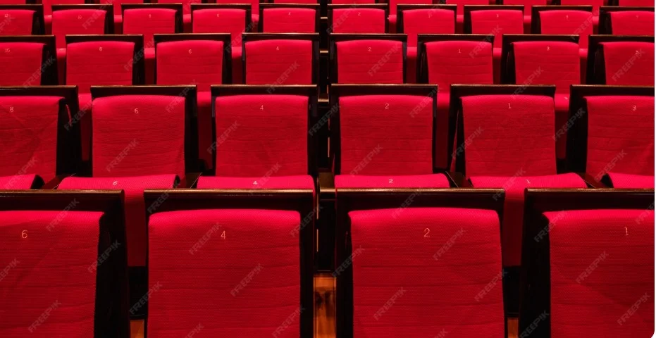Auditorium Chairs