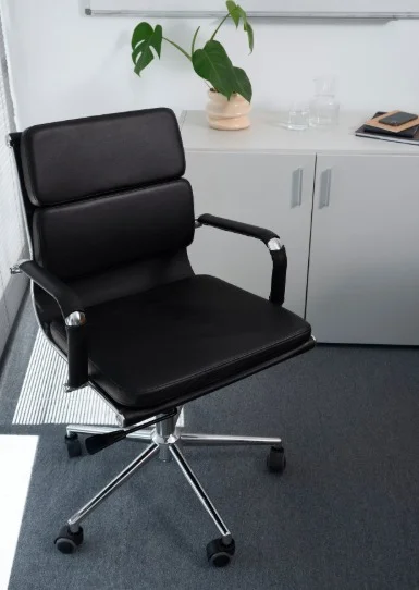 Executive Office Chairs