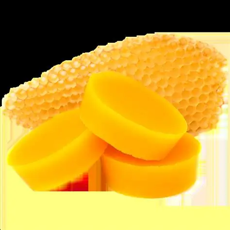 Bees By-Product – Beeswax
