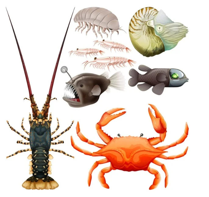 Crabs, Fillets, Lobsters & Other Sea Creatures (Seafood Mix Products)
