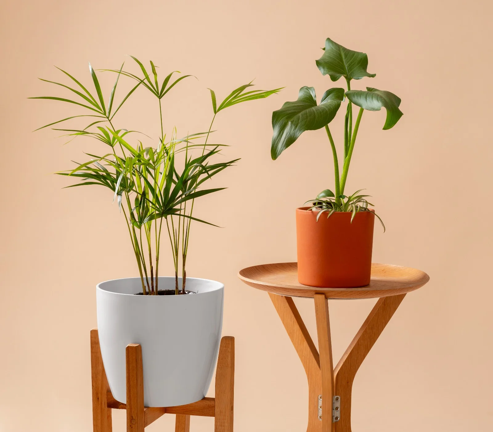 Flower Pots & Flower Vases