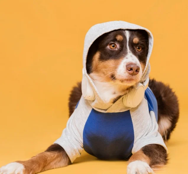 Dog Clothing Strapping