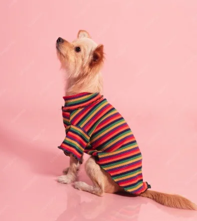 Pet Clothing Wear