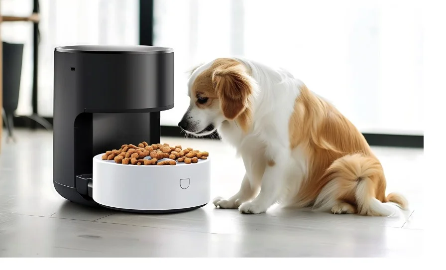 Pet Feeding Equipment